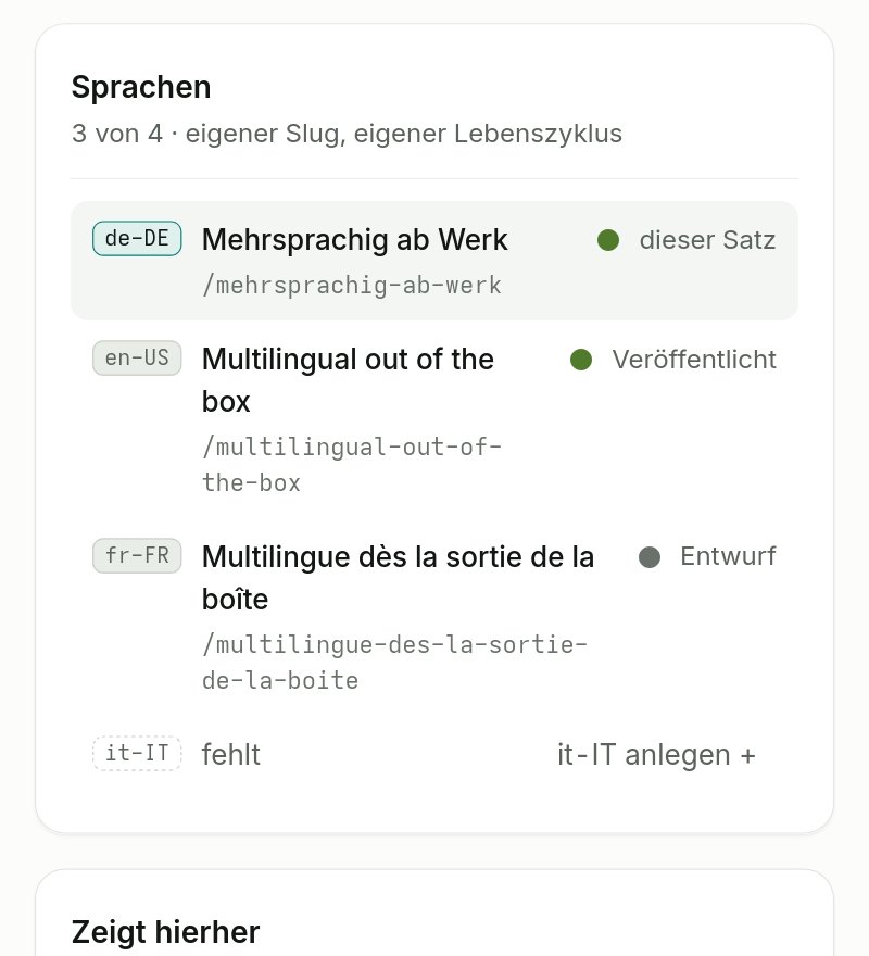 Ein Artikel mit seinen Sprachen, jede in ihrem eigenen Zustand.